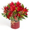 JOYIN Christmas 3D Forever Flower Greeting Cards, Pop Up Cards with Envelopes, Xmas Festive Pop Up Card for Family Members, Christmas decor, Warm Present Giving, Thanksgiving and all occasions