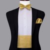 Dubulle Gold Paisley Cummerbund and Bowtie for Men Gold Bow Tie and Pocket Square