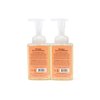 Moon Valley Herbal Foaming Hand Soap, Grapefruit Thyme 2 Pack, Vegan, Recyclable Bottle
