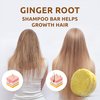 Organic Ginger Hair Growth Solid Shampoo Bar for Regrowth Hair | GINGER ROOT, CAMELINA OIL, TURMERIC, LEMONGRASS | Anti Hair Loss Shampoo, Anti-Dandruff and Anti-Itching | USA MADE (1 pack)