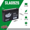 Interstate Batteries 6V 7Ah Battery (F1 Terminal) SLA AGM VRLA Rechargeable Replacement for Electric Fences, UPS Backup Systems, Solar, Medical Devices (SLA0925)