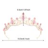 Feltent Crystal Tiaras for Women Wedding Tiara for Girl Princess Headbands Rhinestone Hair Accessories for Birthday Party Prom Costume Gifts