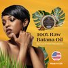 RA COSMETICS 100% Natural Unrefined Batana Hair Oil for Growth, Repair & Strength | 8 oz Nourishing Moisturizer for Damaged Hair from Honduras