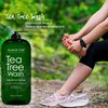 MAJESTIC PURE Tea Tree Body Wash - Formulated to Combat Dry, Flaky Skin - Soothes, Nourishes and Moisturizes Irritated, Chapped, Problem Skin Areas - (Packaging may Vary) -16 fl. oz.
