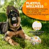 Dog Balls for Aggressive chewers,Indestructible Dog Toy Balls,Puppy Chew Toys for Teething, Dog Chew Toy,Tough Dog Toys for Medium Small Dog, Dog Fetch Ball,Dog Tennis Ball 2.5" pet-toy for dogs.
