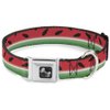 Dog Collar Seatbelt Buckle Watermelon Stripe Red Green Black 9 to 15 Inches 1.0 Inch Wide