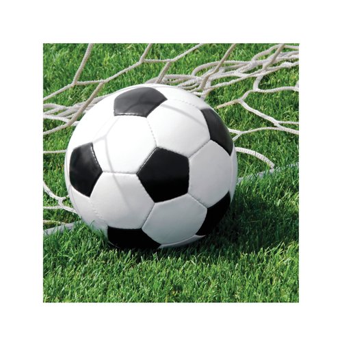 Creative Converting Soccer Luncheon Napkins, 3-Ply, 18/Pkg (667966)
