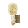 BAUDELAIRE Baudelaire sisal 6 inch nail brush, 1 ea