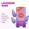 Lume Whole Body Deodorant - Invisible Cream Tube Mini and Solid Stick - 72 Hour Odor Control - Aluminum Free, Baking Soda Free, Skin Safe - 0.5 Oz Mini Tube + 2.6 Oz Solid Stick (Lavender Sage)