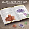 NATIONAL GEOGRAPHIC Mega Gemstone Dig Kit – Dig Up 15 Real Gemstones and Crystals, Science Kit for Kids, Gem Digging Kit, Gift for Girls and Boys, Mining Kit, Rock Collection