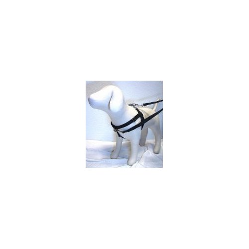 Freedom No-Pull Harness and 4-Configuration Training Leash Package (1" Wide Medium (23"-28"), Black with Silver)