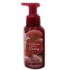 Bath & Body Works Cozy Cashmere, Sunrise Woods, Afternoon Apple Picking Gentle Foaming Hand Soap Pack of 3 With a Himalayan salts Spring Sample Soap.
