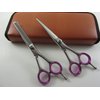 5.5"Professional Razor Edge Hair Cutting & Thinning Scissors Shears Hairdressing Scissors Barber Shears
