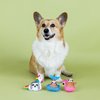 Fringe Studio "JUST Keep Floating, Set of 3, Small Plush Dog Toy Set, Pet Shop Collection (662135)