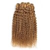 FEELME Honey Blonde Brazilian Hair Kinky Curly Bundles Color 27 Curly Human Hair Bundles Unprocessed Virgin Brazilian Curly Hair Bundles 100% Human Hair Extensions 3 Bundles 10 12 14