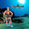 Ocean Sea Marine Animal Figure Toys Playsets 2 PCS Diver Great White Shark Model Toy Desktop Decoration Collection Party Favors Toys for Boys Girls Kids