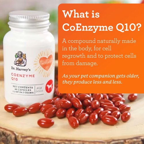 Dr. Harvey's Coenzyme Q10 - Heart & Cardiovascular Support Supplements for Dogs, 60 Capsules