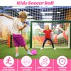 DLUGOPIS Sparkling Pink Mini Soccer Ball Size 2 Sport Ball for Toddlers PVC Backyard Outdoor Toys for Little Boys Girls Kindergarten Student