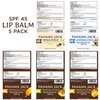 Panama Jack Sunscreen Lip Balm - SPF 45, Flavor Pack, Broad Spectrum UVA-UVB Sunscreen Protection, Prevents & Soothes Dry, Chapped Lips (Dreamsicle/Vanilla/Tropical/Mango)