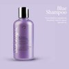 OLIGO PROFESSIONNEL - Blacklight Blue Shampoo - Sulfate-Free Blue Shampoo for Blonde and Color Hair - Revive Treated Hair - Refreshes Faded Highlights - 11 Amino Acids and Moisturizing Formula - 8.5oz