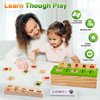 Wooden Educational Toys for Toddlers 3 4 5: Montessori Sorting Toys for 3-5 Years Old Kids - Spelling, Cognition & Matching Game for Preschool Learning Activities - Birthday Gifts for baby Boy Girl
