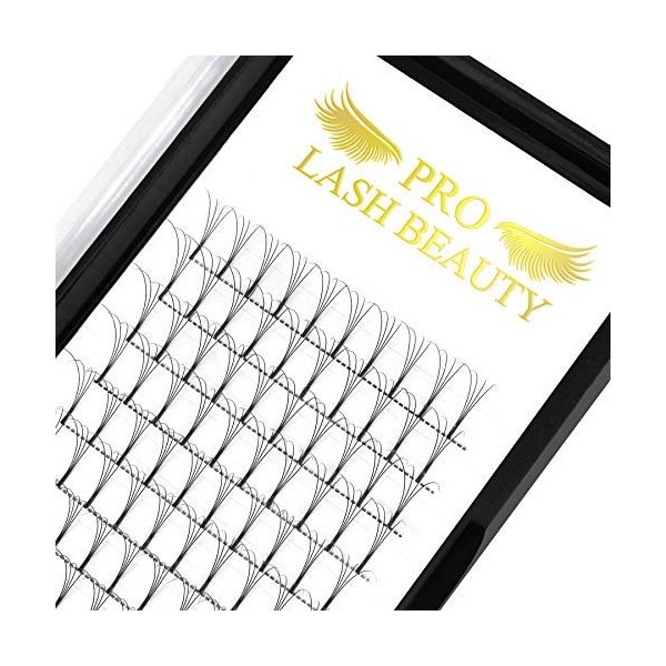 Premade Volume Eyelash Extensions 5D-C-0.10-14mm Long Stem 9-16 mix Premade Fans Eyelash Extensions Volume Lash Extensions .07 .10 Premade Volume Fans C D Pre made Lash Fans (14 mm, 5D-C-0.10)