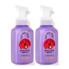 Bath and Body Works Gentle Foaming Hand Soap 8.75 Ounce 2-Pack (Rainbow Cereal)