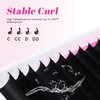 TDANCE Cashmere Easy Fan Lash Extensions Self Fanning Volume Lash Extensions D Curl 0.07mm 14-19mm Matte Black Mega Volume Eyelash Extensions(0.07-D,14-19mm)