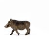 Schleich Wild Life, Animal Figurine, Animal Toys for Boys and Girls 3-8 years old, Warthog, Ages 3+
