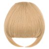Rose bud Bangs Hair Clip in Bangs Hair Extensions Synthetic Flat Bang with Temples Front Face Fringe Bangs Hair Pieces for Women Dark Ash Blonde