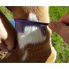 Resco Professional Anti-Static Dog, Cat, Pet Comb for Grooming, Steel Pins, Fine Tooth Spacing