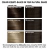 AGE beautiful Permanent Hair Color Dye Liqui Creme | 100% Gray Coverage | Anti-Aging Haircolor | Biotin for Thicker, Fuller Hair | Professional Salon Coloring | 3N Darkest Brown