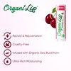 OrganiLip USDA Certified Organic Lip Moisturizer - Ultra Moisturizing Organic Lip Balm for Nourishing Cracked or Dry Lips - All-Day Ultra Moisturizing Lip Care Oval Shaped Tube - 3-Pack (Cherry)
