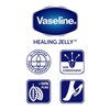 Vaseline Petroleum Jelly, Cocoa Butter, 7.5 Ounce (Pack of 2)