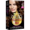 Garnier Olia Oil Powered Permanent Hair Color, 5.3 Medium Golden Brown (Packaging May Vary)