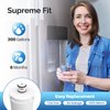 ICEPURE CS-52 Refrigerator Water Filter, Compatible with Bosch 640565, Whirlpool WHKF-R-PLUS, EVOLFLTR10, Cuno CS-52, CS-51, CS-450, CS-451, CS-452, 5553629, 55866-05, 55866-06, 5586606, Pack of 2