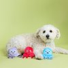 Fringe Studio "Too TENTA-Cool, Set of 3, Small Plush Dog Toy Set, Pet Shop Collection (662127)