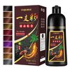 Black Hair Dye Shampoo for Gray Hair Coverage, Natural & Long-lasting Hair Color Shampoo Para Canas Mujer, 3 in 1 Herbal Shampoo Hair Dye Christmas Gifts for Men Women 500ml