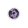 Holographic Chunky Glitter by Moon Glitter – 100% Cosmetic Glitter for Face, Body, Nails, Hair and Lips - 0.10oz - Purple