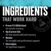 Animal Juiced Amino Acids - BCAA Powder EAA Matrix Plus Hydration with Electrolytes and Sea Salt Anytime Recovery and Improved Performance, Strawberry Limeade Flavor, 30 Servings