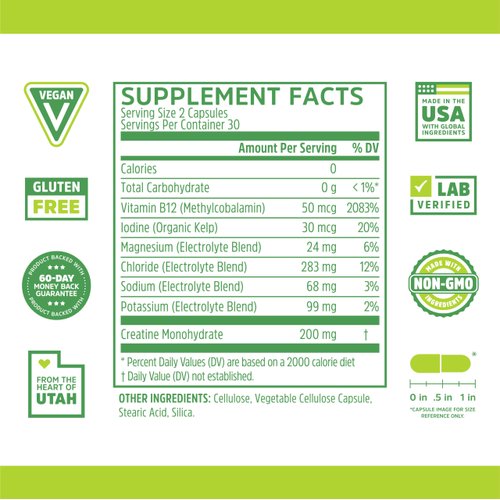 Zhou Fast Support+ Intermittent Fasting Support Supplement, Vitamin B12 for Energy, Electrolytes Magnesium, Chloride, Sodium, Potassium, Creatine Monohydrate, Physical Performance, 60 Veg Caps