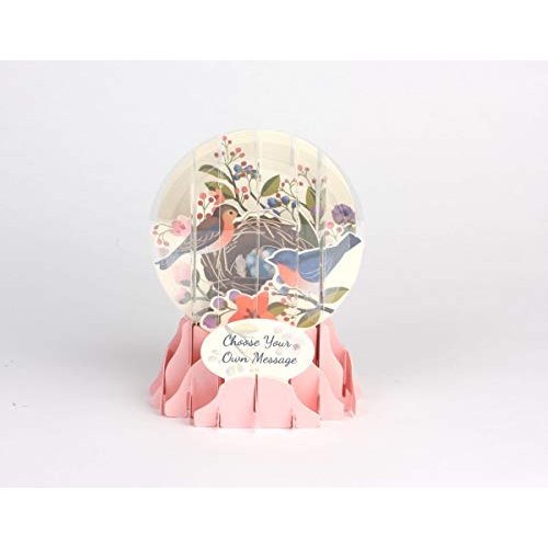 3D Pop Up Snow Globe All Occasion Greeting Card - Perched Bird
