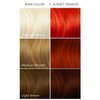 ARCTIC FOX Vegan and Cruelty-Free Semi-Permanent Hair Color Dye (8 Fl Oz, SUNSET ORANGE)