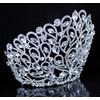 Janefashions Fancy Beauty Queen Crystal Rhinestone Tiara Crown With Hair Combs Wedding Bridal Beauty Contest Prom Pageant Silver T994