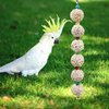 Jinkoozz Bird Chewing Toy, Bird Sola Ball Toy with Bell, Bird Cage Accessories, Cage Toys for Cockatiel Parakeet Parrot Budgies Rat Hamster Chinchilla Rabbit Bunny African Grey