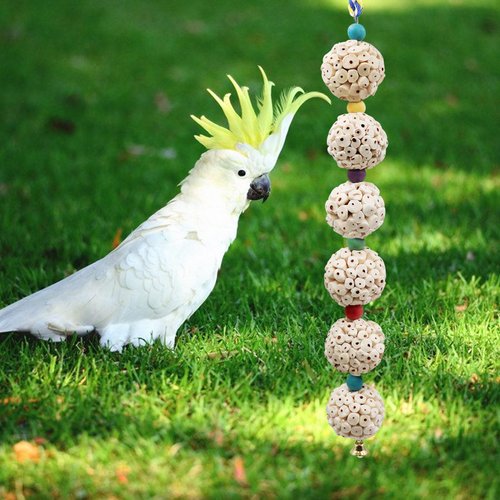 Jinkoozz Bird Chewing Toy, Bird Sola Ball Toy with Bell, Bird Cage Accessories, Cage Toys for Cockatiel Parakeet Parrot Budgies Rat Hamster Chinchilla Rabbit Bunny African Grey
