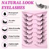 AddFavor Cat Eye Lashes False Eyelashes Natural Look Wispy Fluffy Clear Lash Band Fake Eyelashes 7 Pairs Pack 3D Winged End Eye Elongated Strip Lashes
