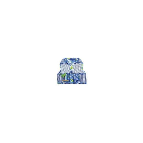 DOGGIE DESIGN Surfboard Blue and Green Cool Mesh Dog Harness with Matching Leash (Small)