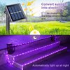 JMEXSUSS 200 LED Purple Solar Christmas Lights, 66 ft Rope Lights Outdoor Waterproof, PVC Tube Purple Christmas String Lights for Party Tree Fence Christmas