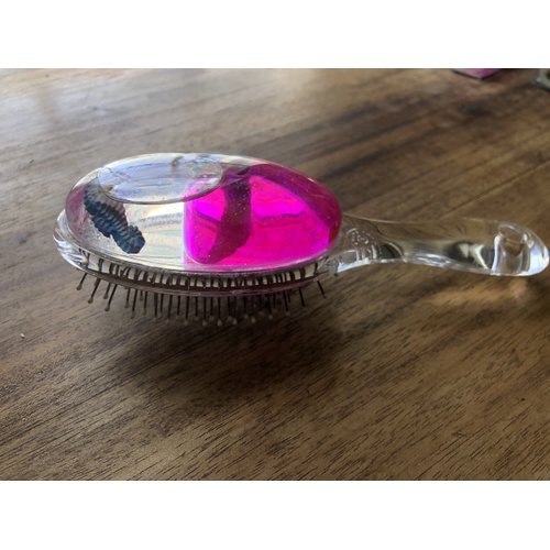 Children's Gift-Hair Brush - Floating Rubber Fish,Ducks,Lady Bug in Liquid - Great Back to School Gift, Stocking Stuffer for Kids, Adults, Children, Young People, Youngsters
